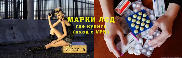 соль ск Дмитриев