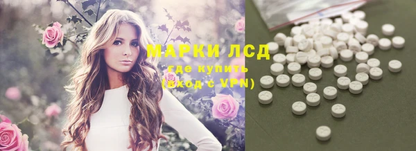 соль ск Дмитриев