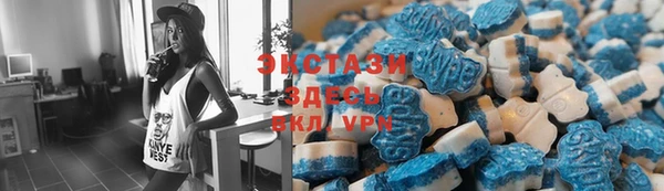 тгк Дмитров