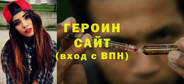 соль ск Дмитриев