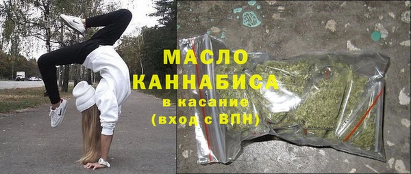 соль ск Дмитриев