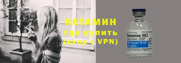 соль ск Дмитриев