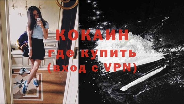 тгк Дмитров