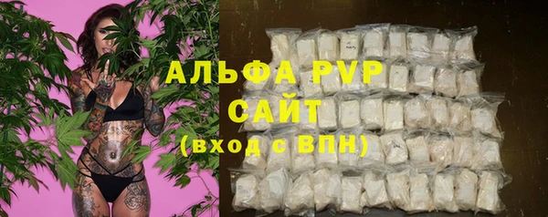 тгк Дмитров