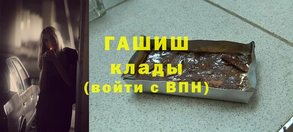 соль ск Дмитриев
