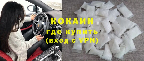 соль ск Дмитриев
