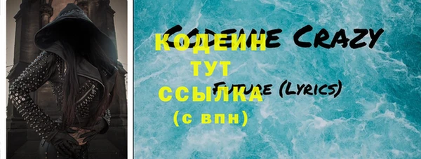 соль ск Дмитриев