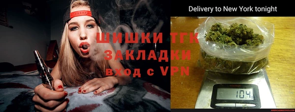 соль ск Дмитриев